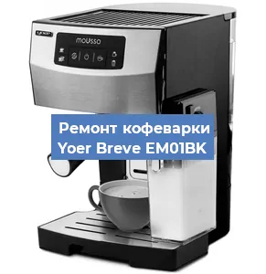 Замена дренажного клапана на кофемашине Yoer Breve EM01BK в Москве